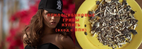 винт Белокуриха